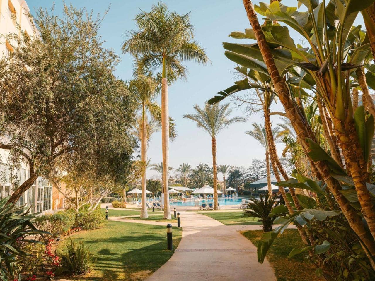 Novotel Cairo 6th of October — 3