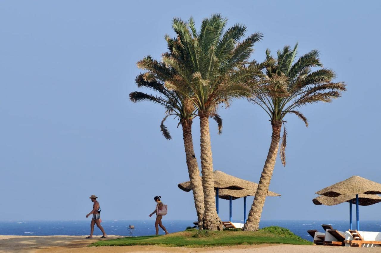Solymar Reef Marsa — 2