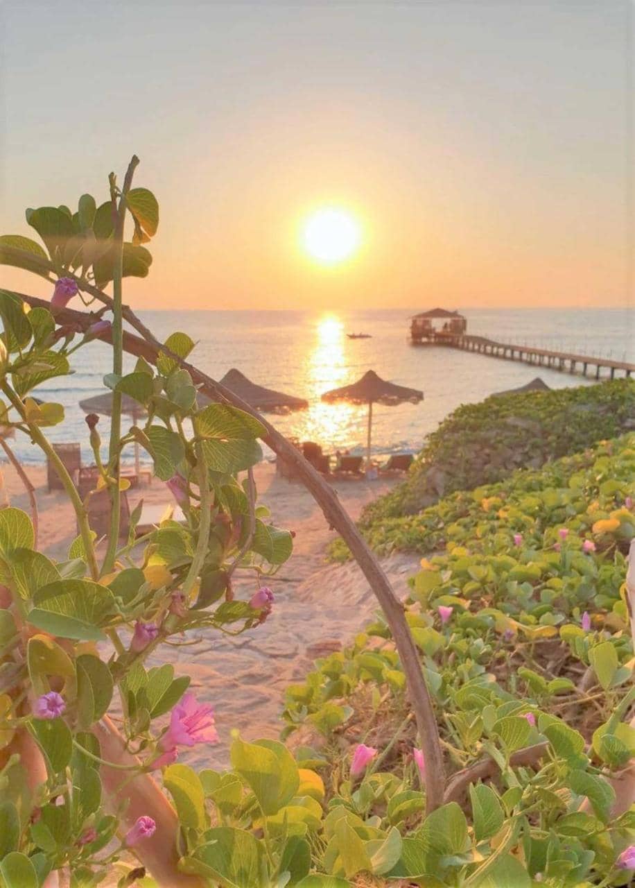 Rohanou Beach Resort & Ecolodge — 5