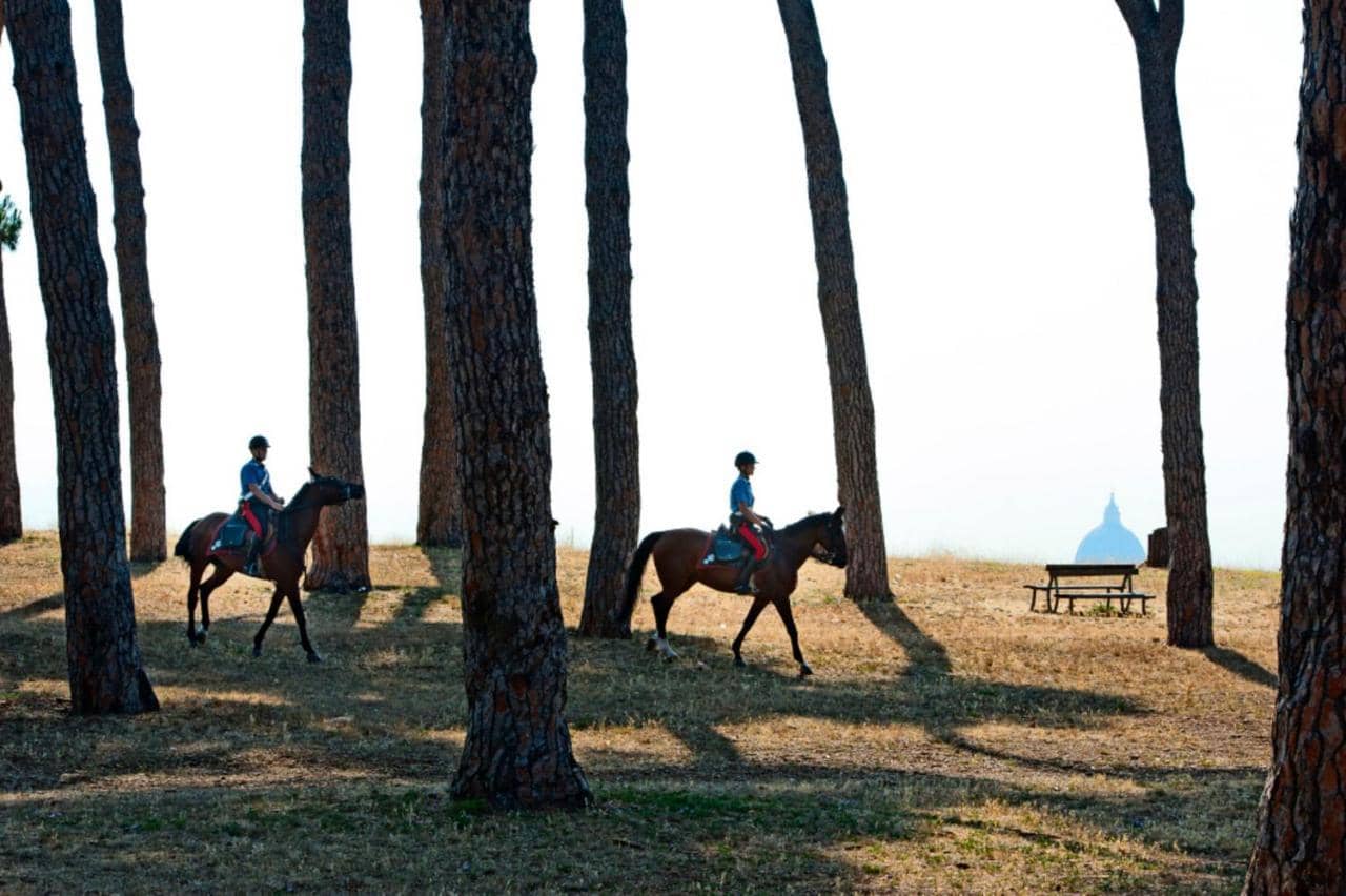 Pinewood — 2
