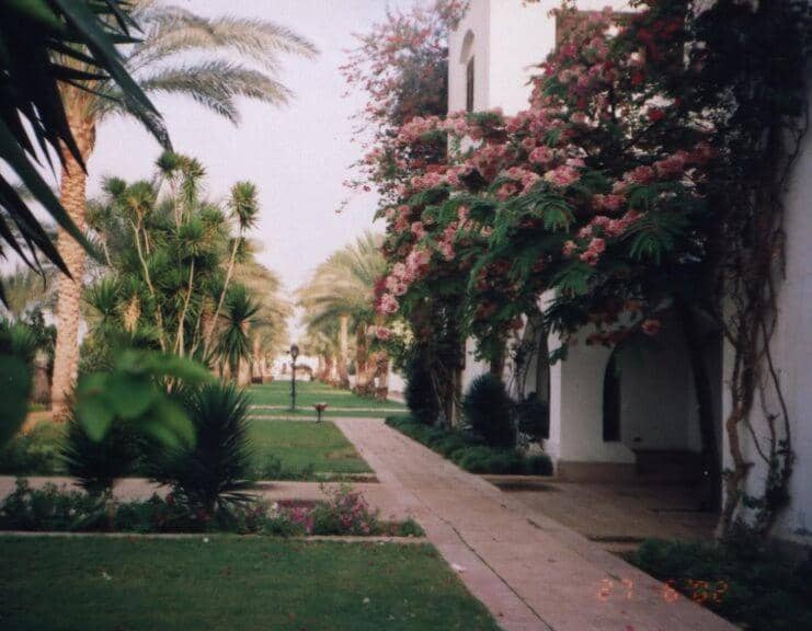 Six Corners Resort Abu Sultan — 4