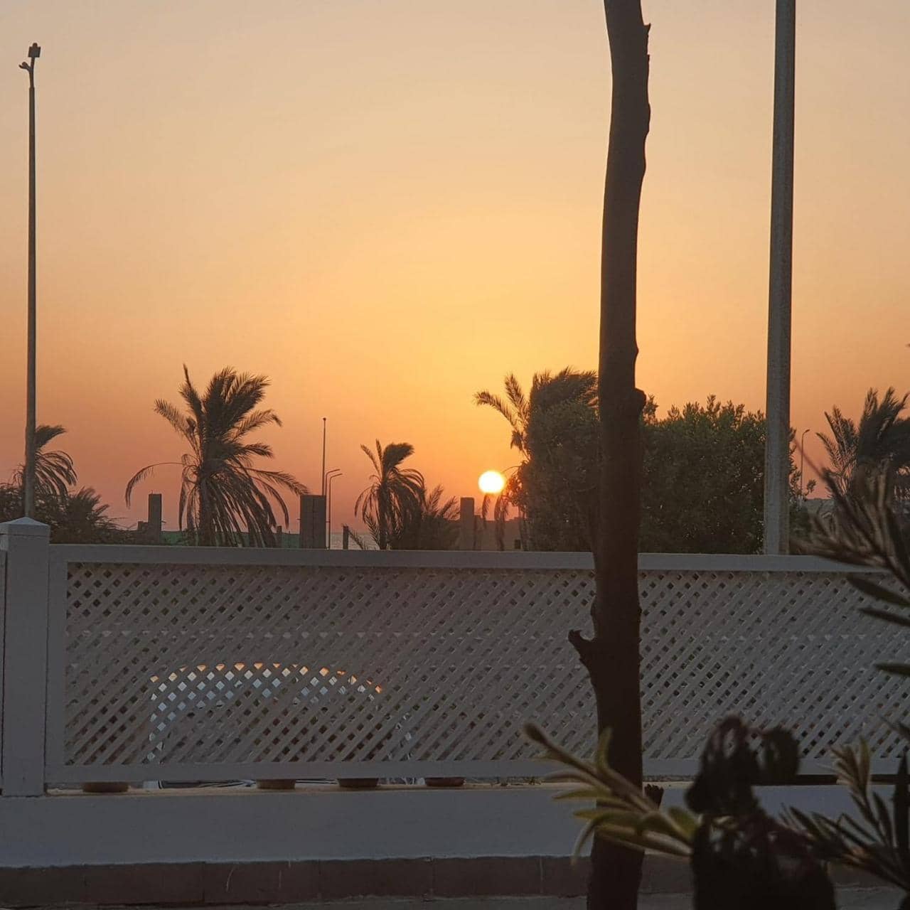 Rihana Guest House — 5