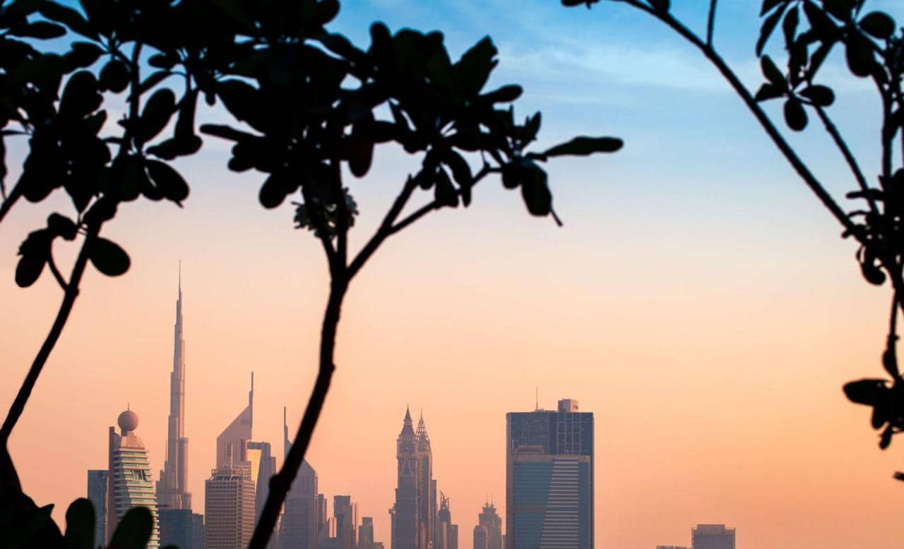 Doubletree by Hilton Dubai M Square Hotel & Residences — 5