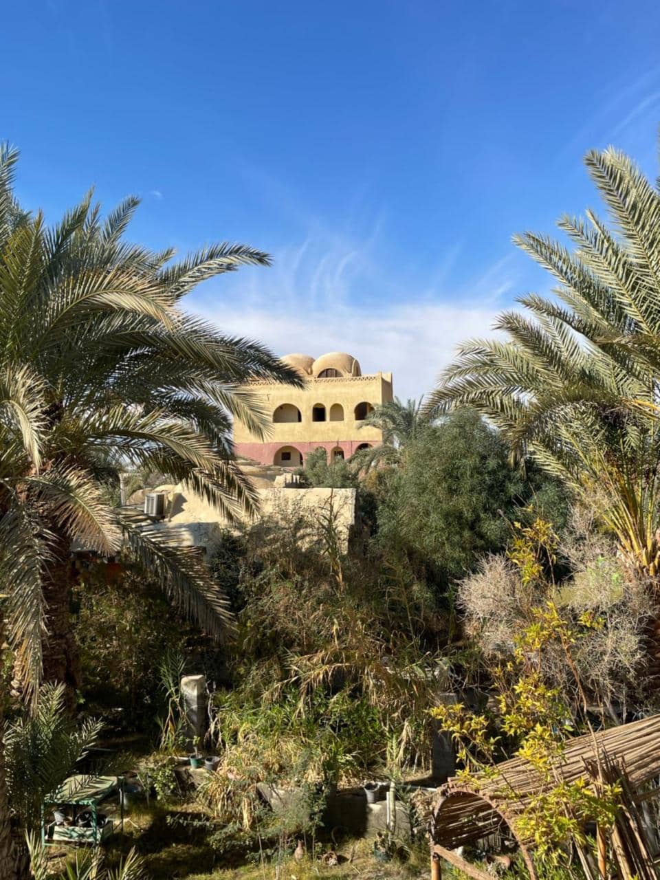 Safari Camp Bahariya Oasis — 3