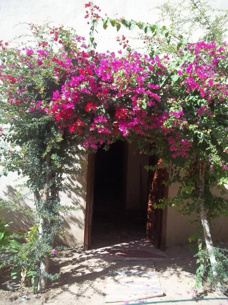 Nour El Gourna — 2
