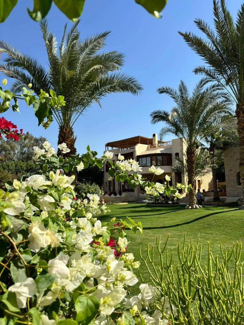Palm Shadow Resort
