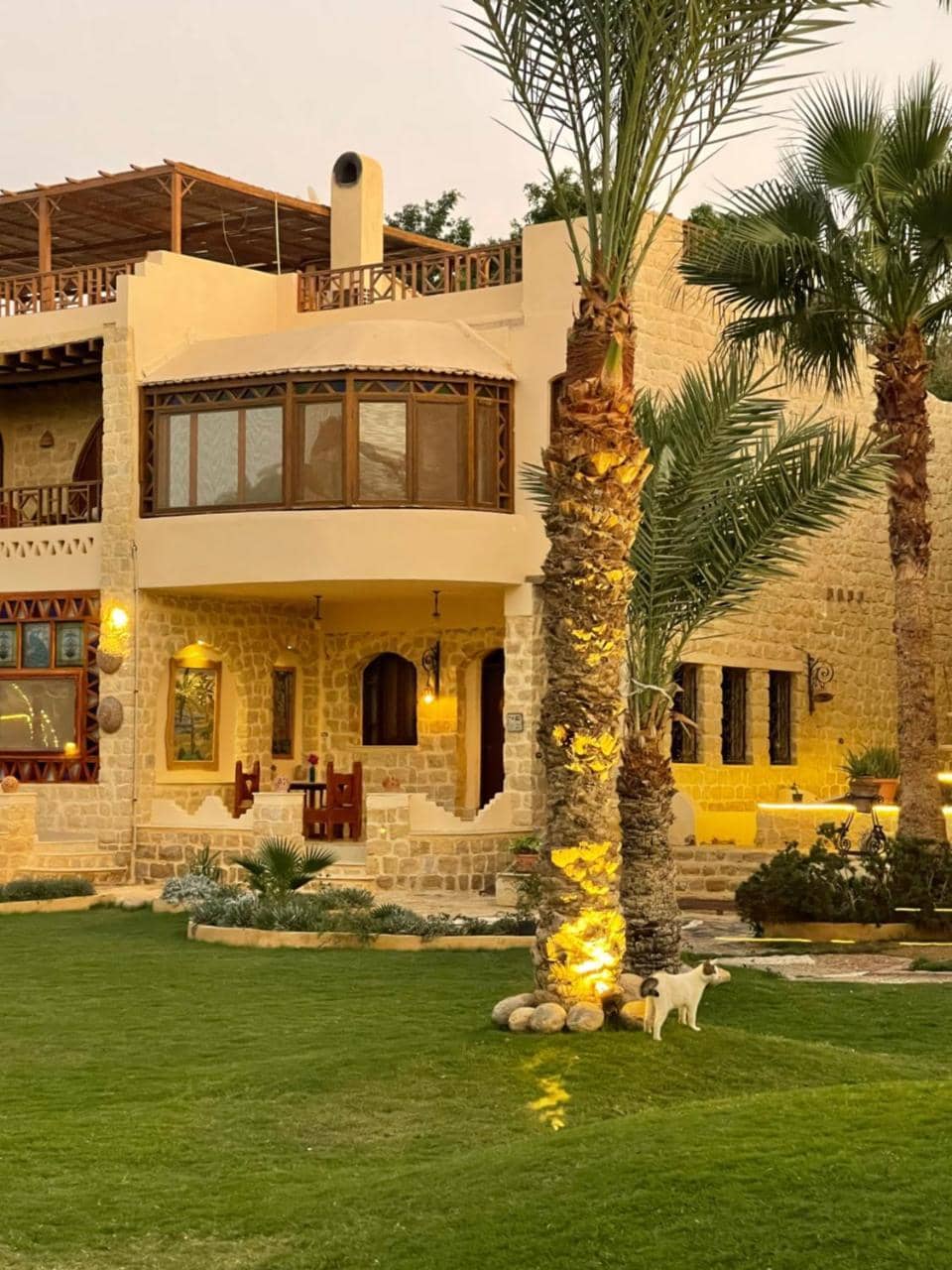 Palm Shadow Resort — 3