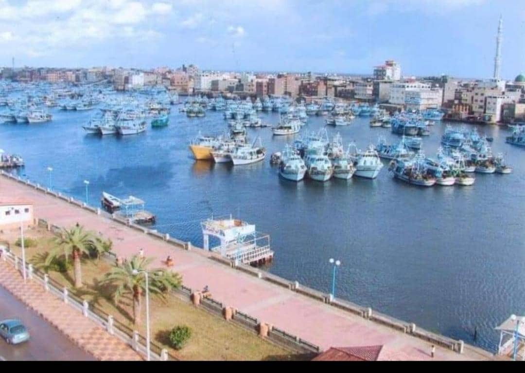 العربية العالمية للسياحة و الرحلات شقق فندقية فاخرة برأس البر — 2