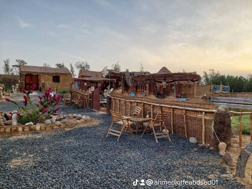 Stars Camp Oasis — 2