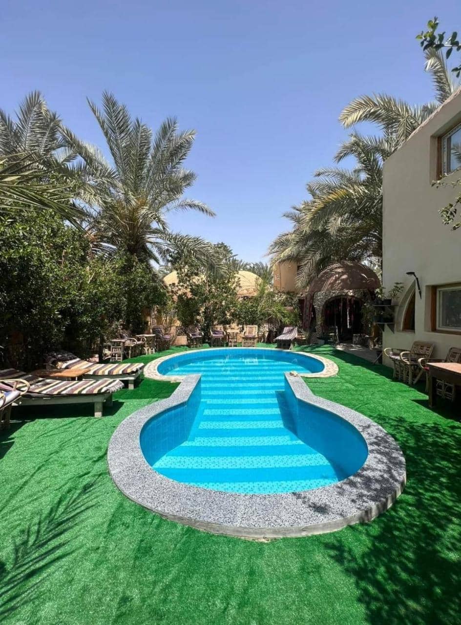 Dream Lodge Siwa دريم لودج سيوة — 5