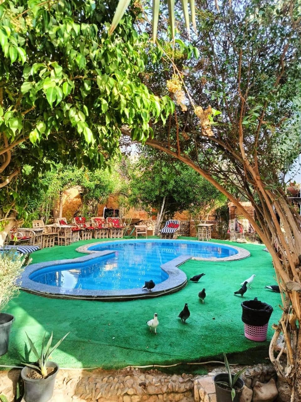 Dream Lodge Siwa دريم لودج سيوة — 3