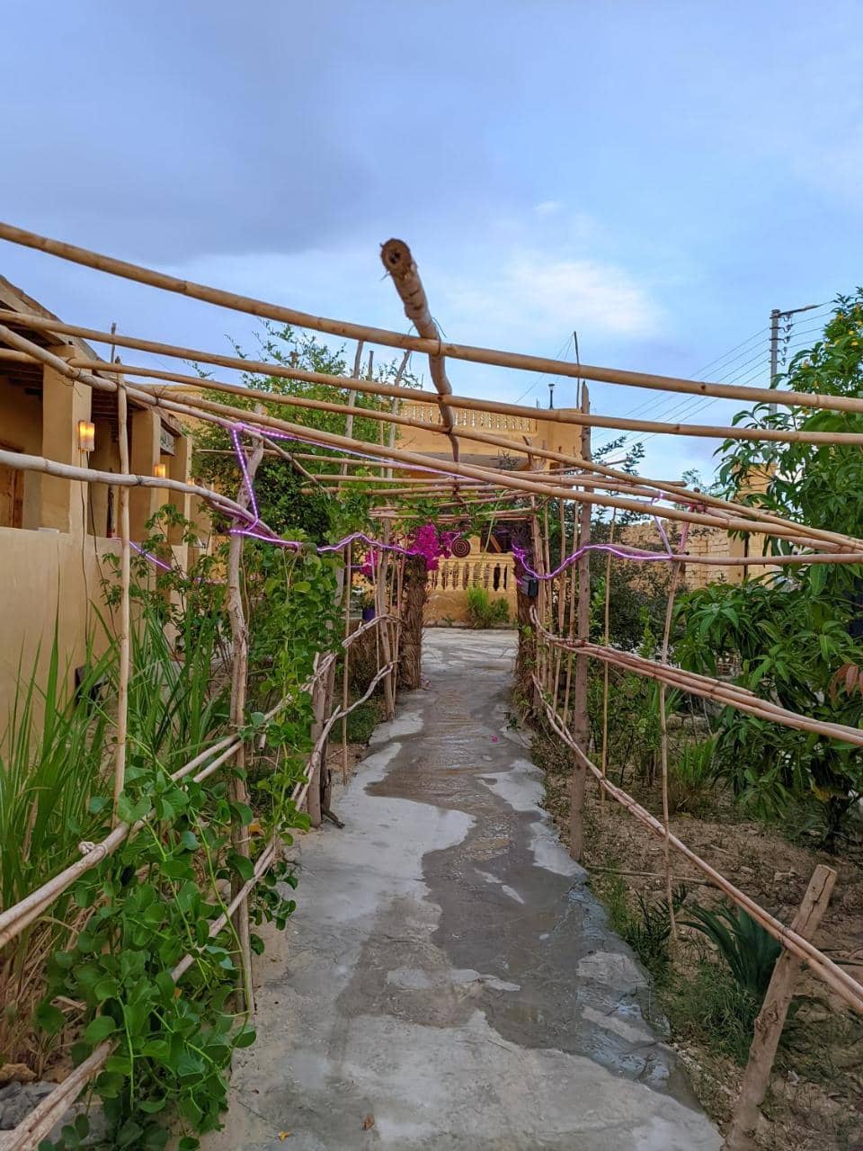 Gagal Camp — 3