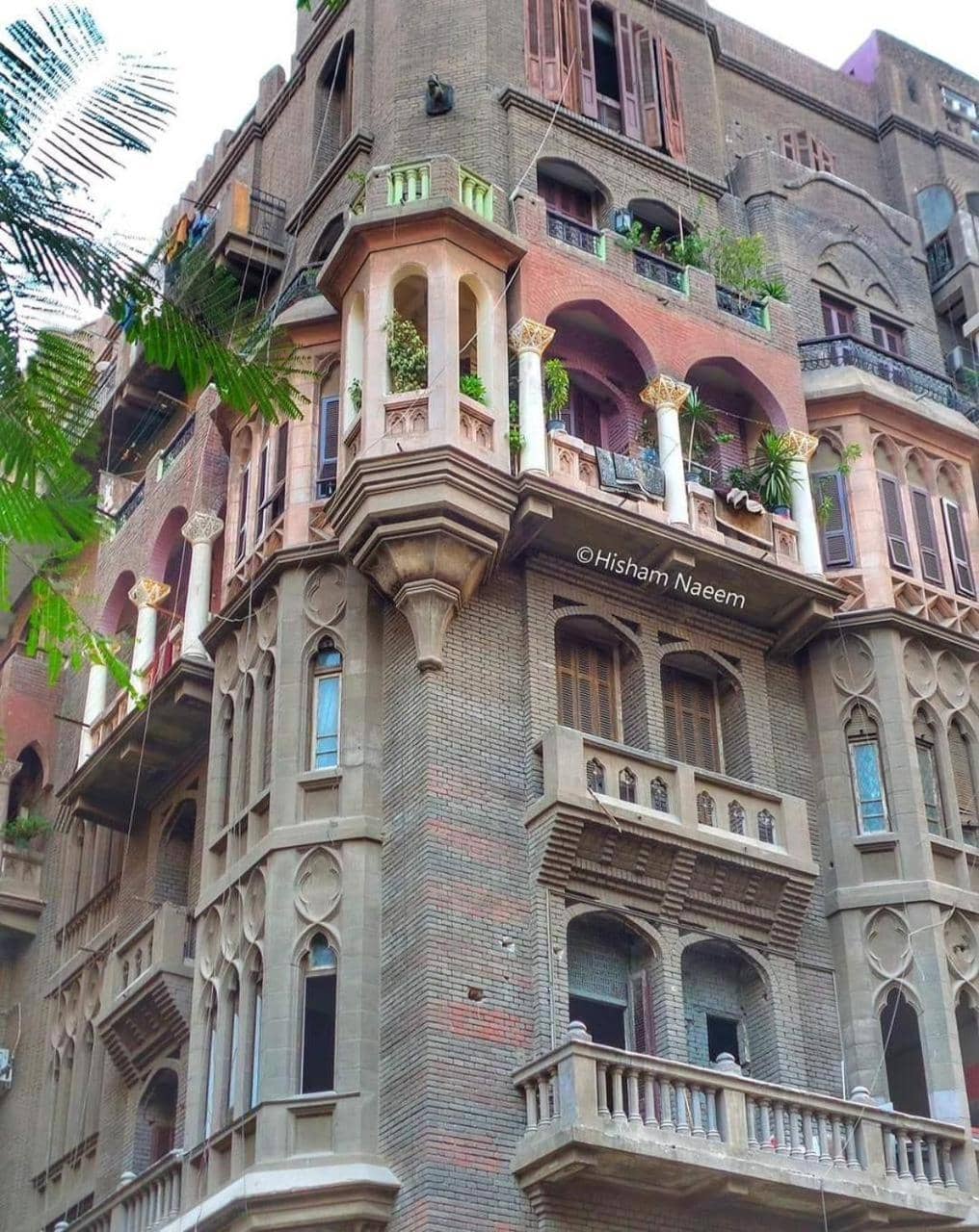 New Palace Court