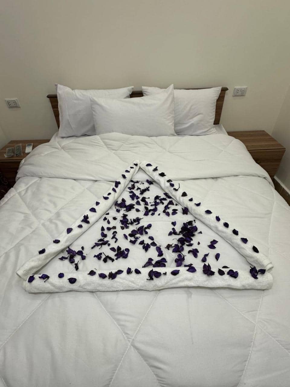 Pyramids Royal Inn