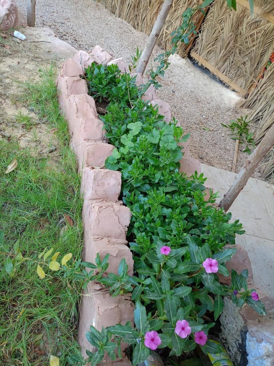 Siwa Garden House — 5