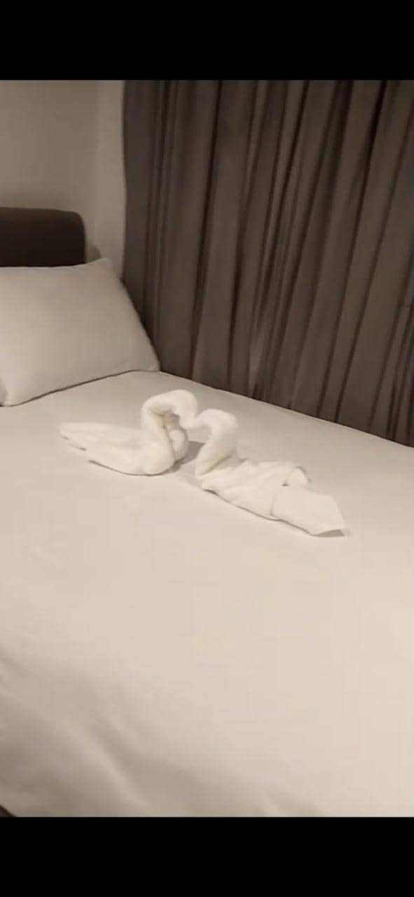 الحصرى Elhosary Otel — 5