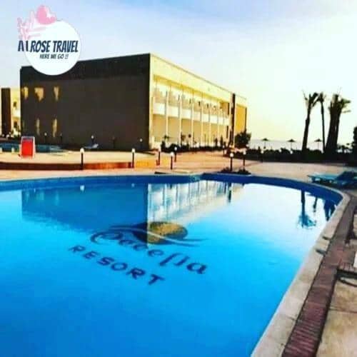 Cecelia Resort Challet