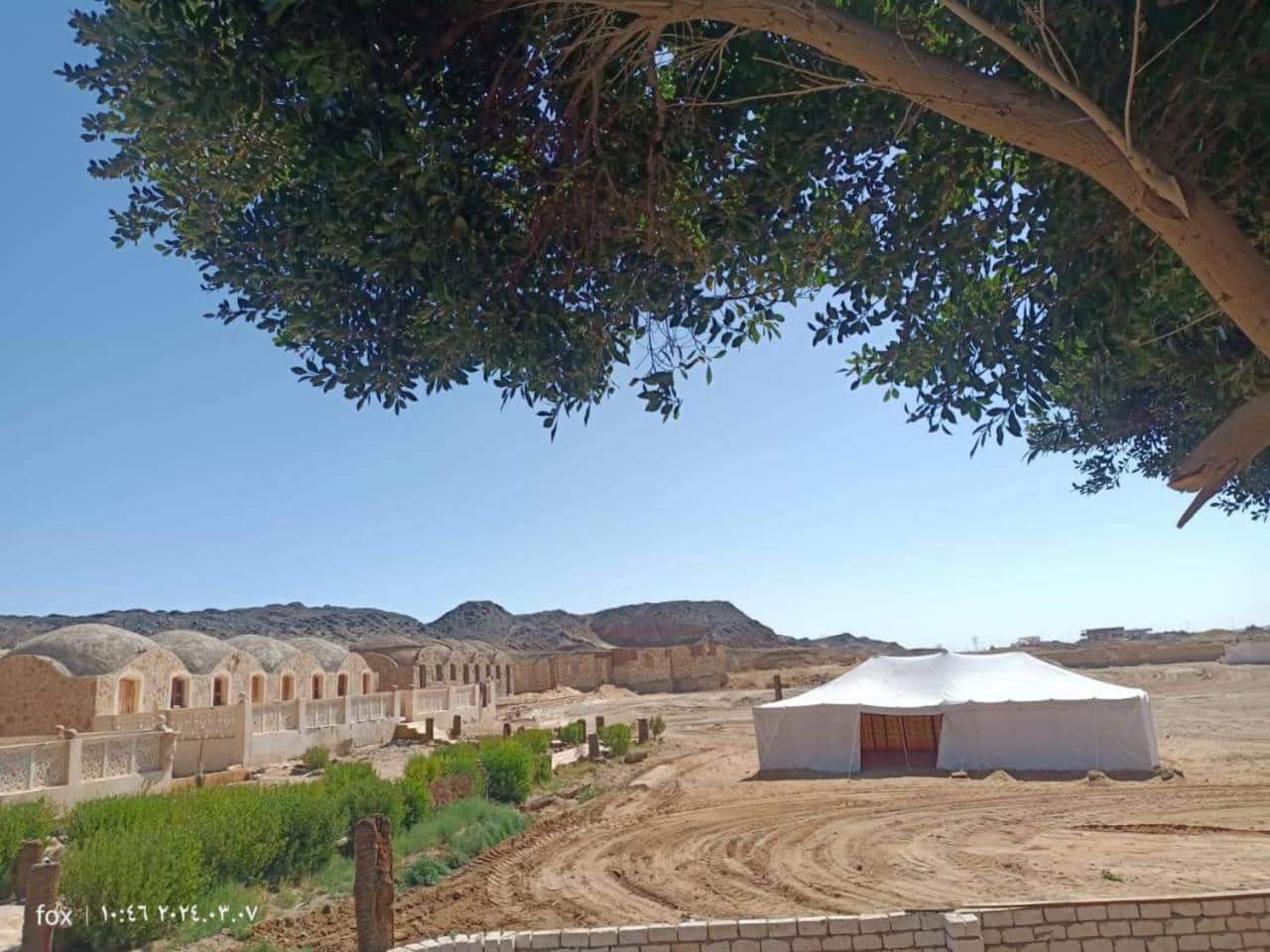 Oasis Panorama — 4