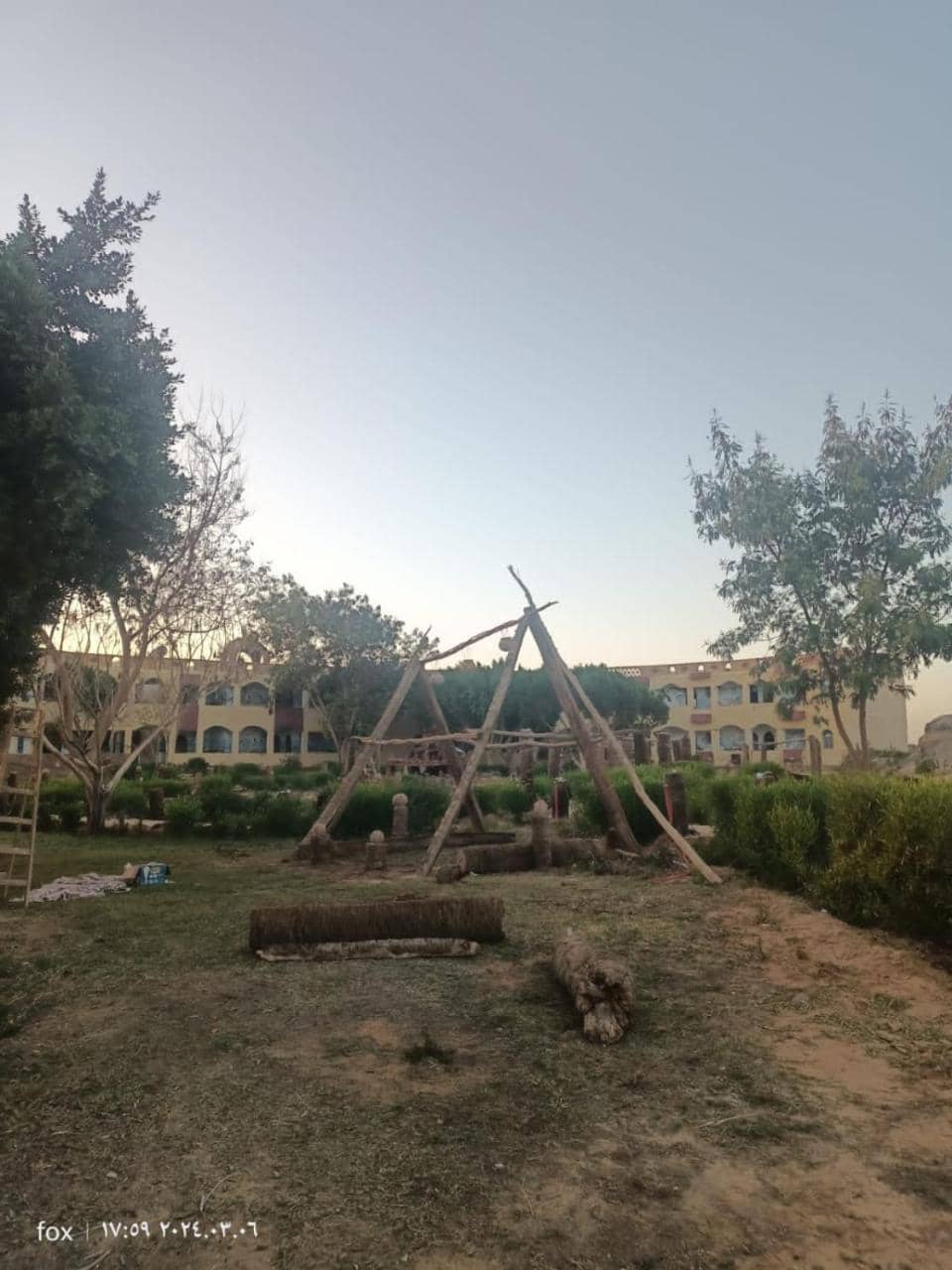 Oasis Panorama — 5