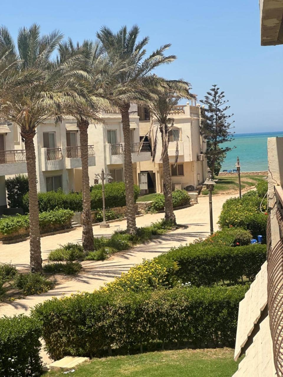 العين السخنة — 3