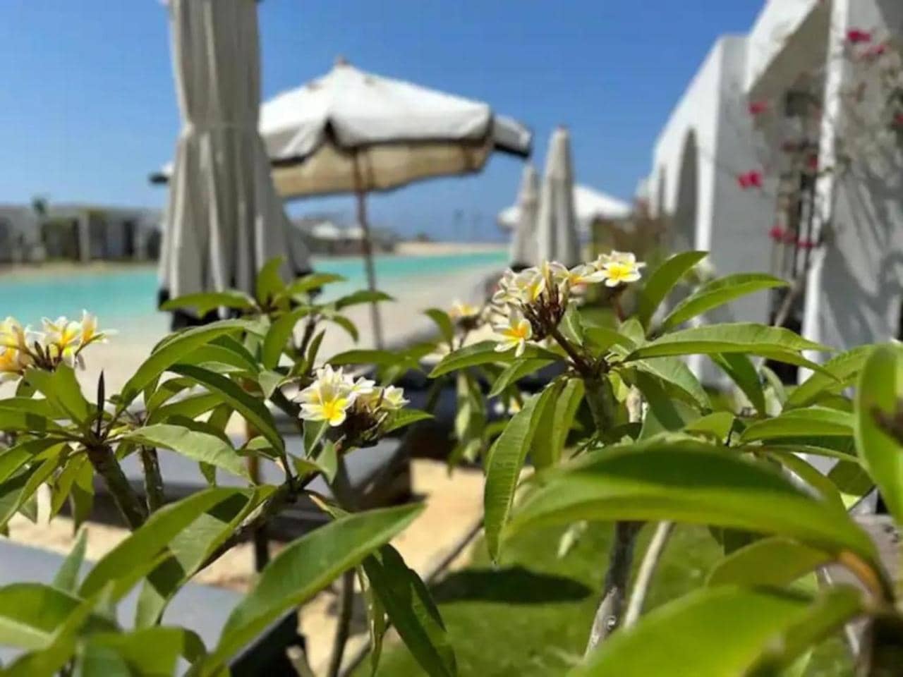 Le Sidi Cabanas Hacienda Bay (Adults Only) — 3