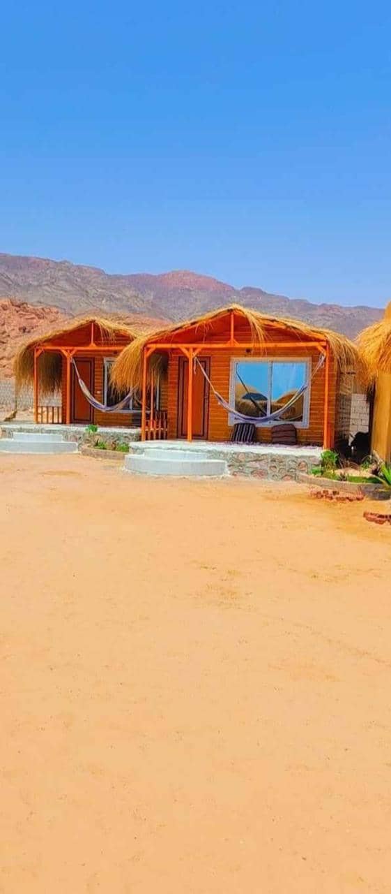 Full Moon Camp Sinai — 2