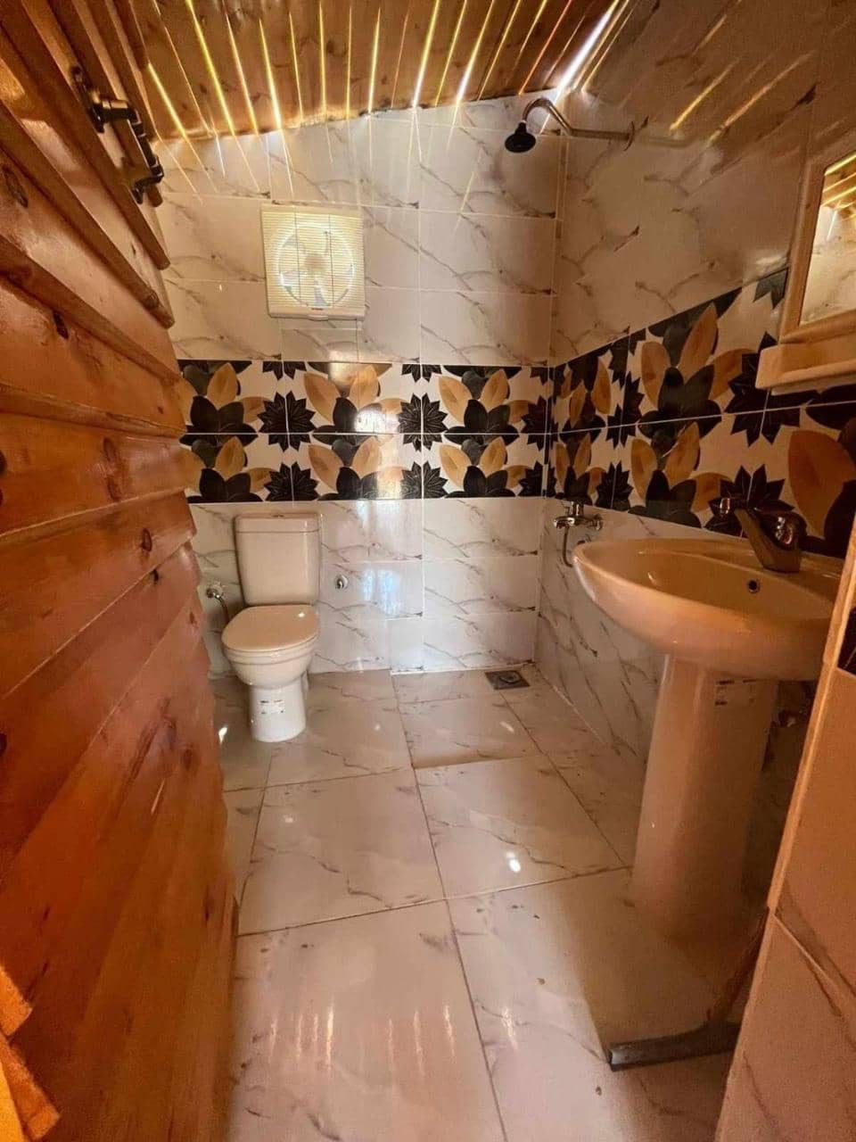 Full Moon Camp Sinai — 5