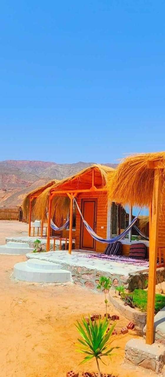 Full Moon Camp Sinai — 3