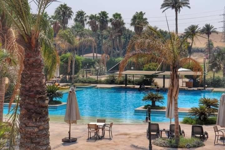 King Ahmose Giza for Traveling — 4