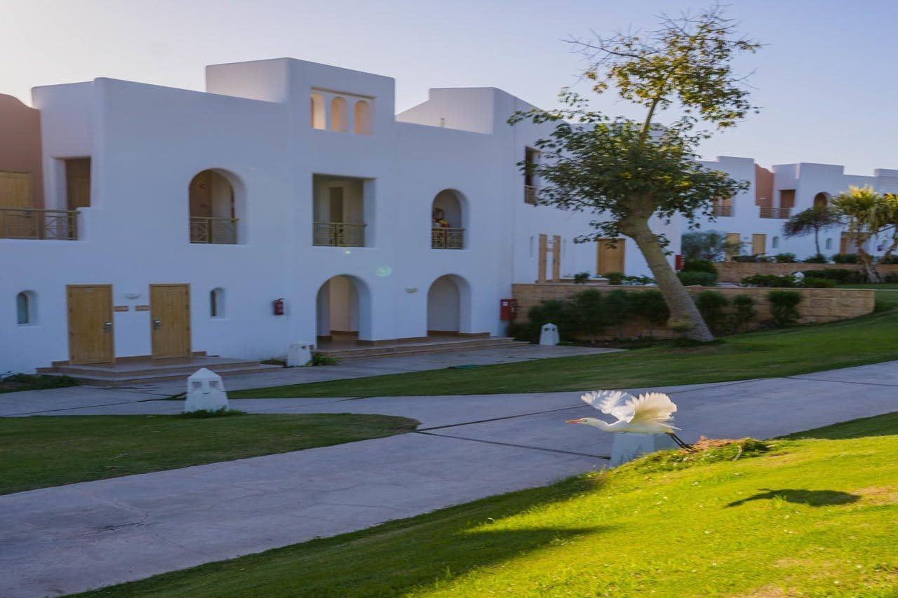 Novotel Sharm El Sheikh Palm