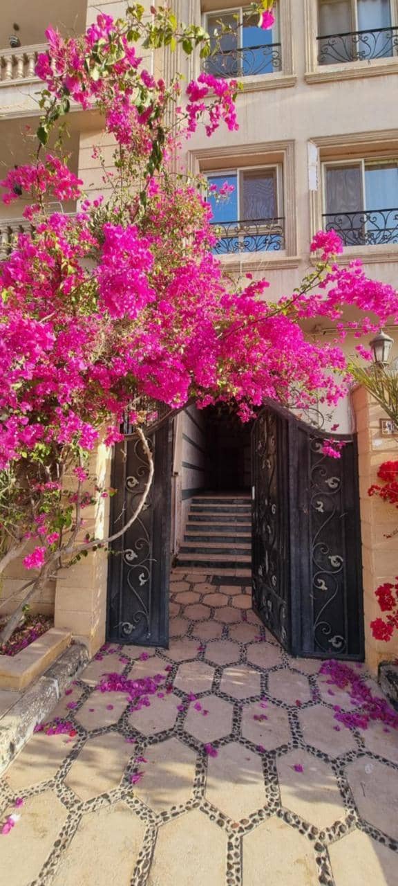 Jasmin Guest House — 2