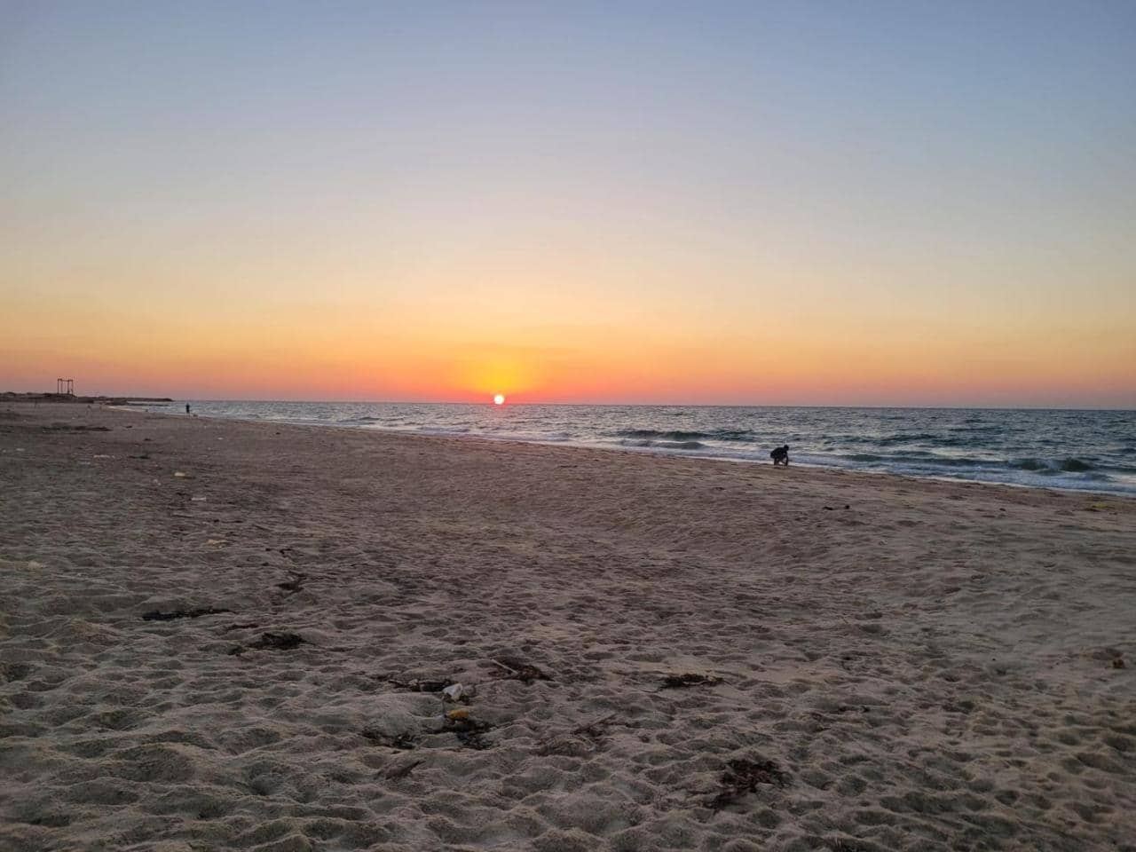 قرية ظلال النخيل العريش — 3