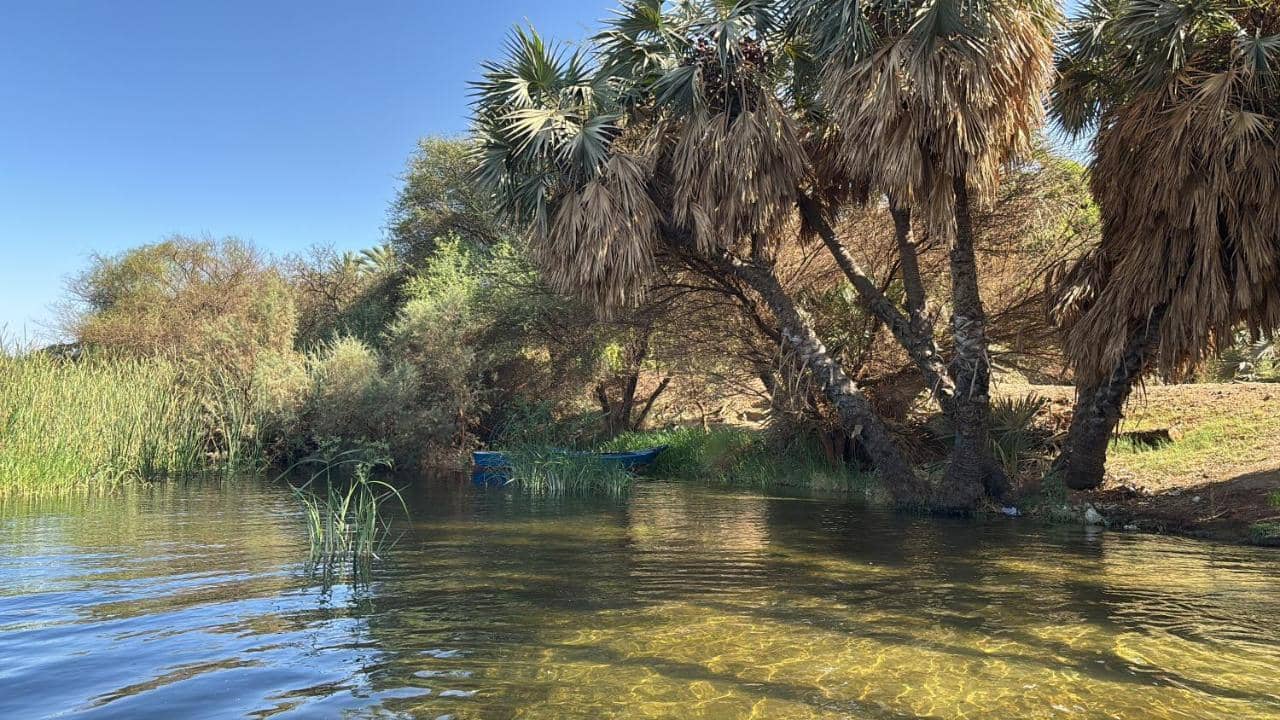 Assuan Felucca — 2