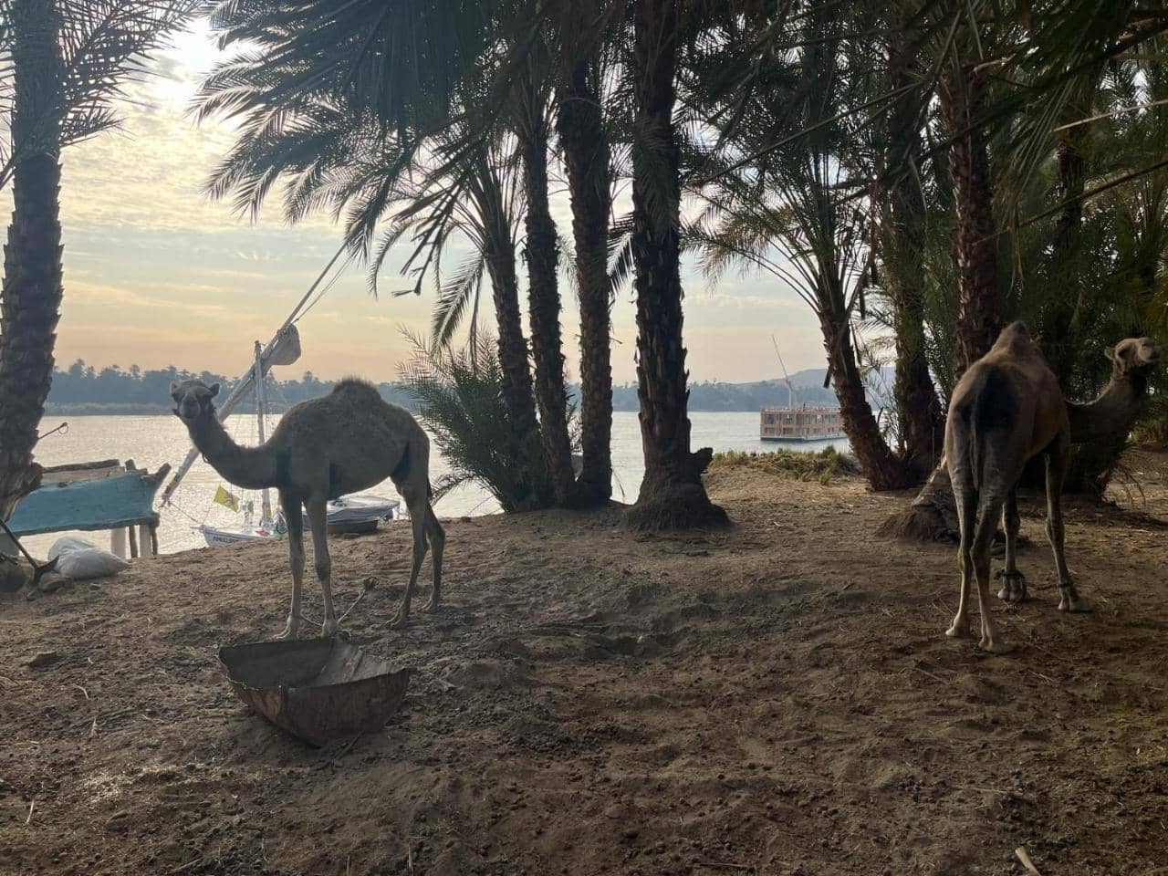 Assuan Felucca — 4