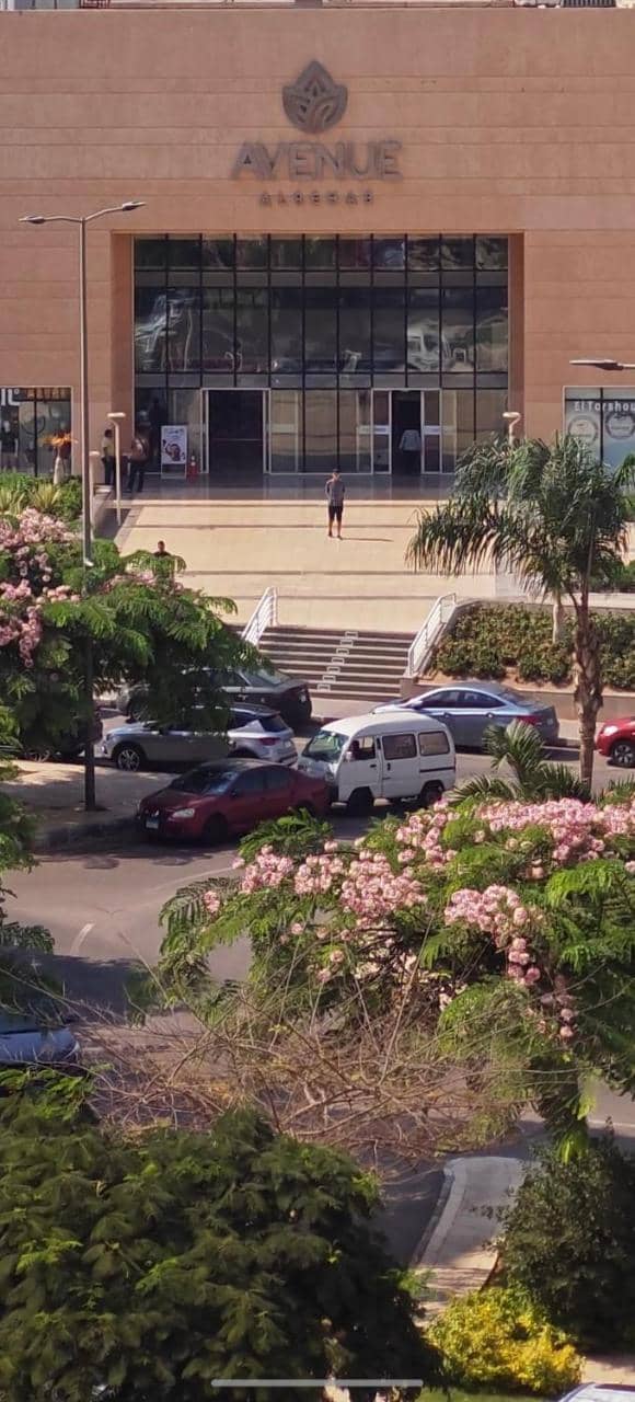 Al Rehab City, Avenue Mall Group129 Bulding7 5th, Casa Mia — 4