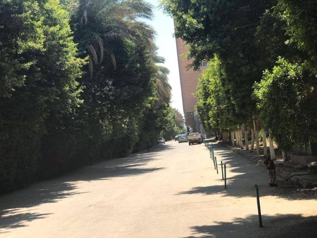 كمباوند الخليج — 4