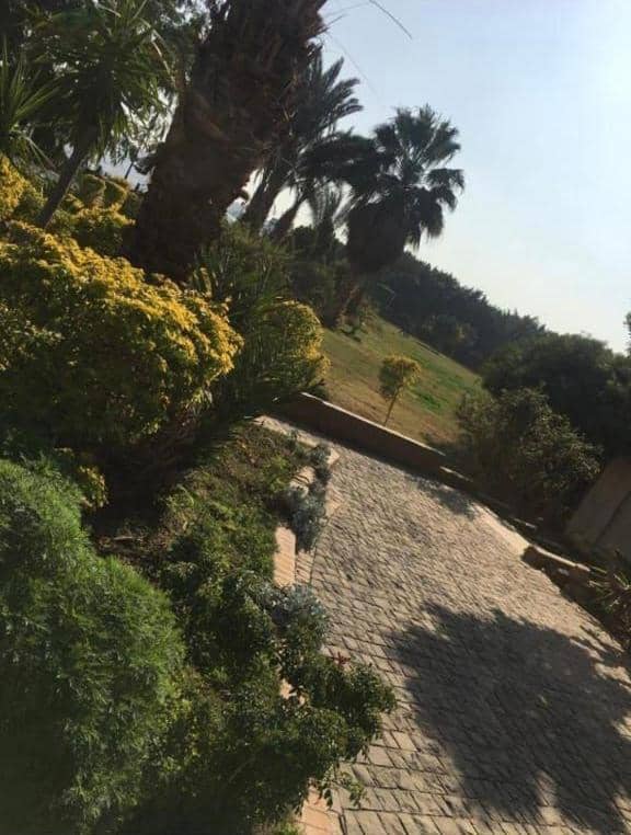 كمباوند الخليج — 3