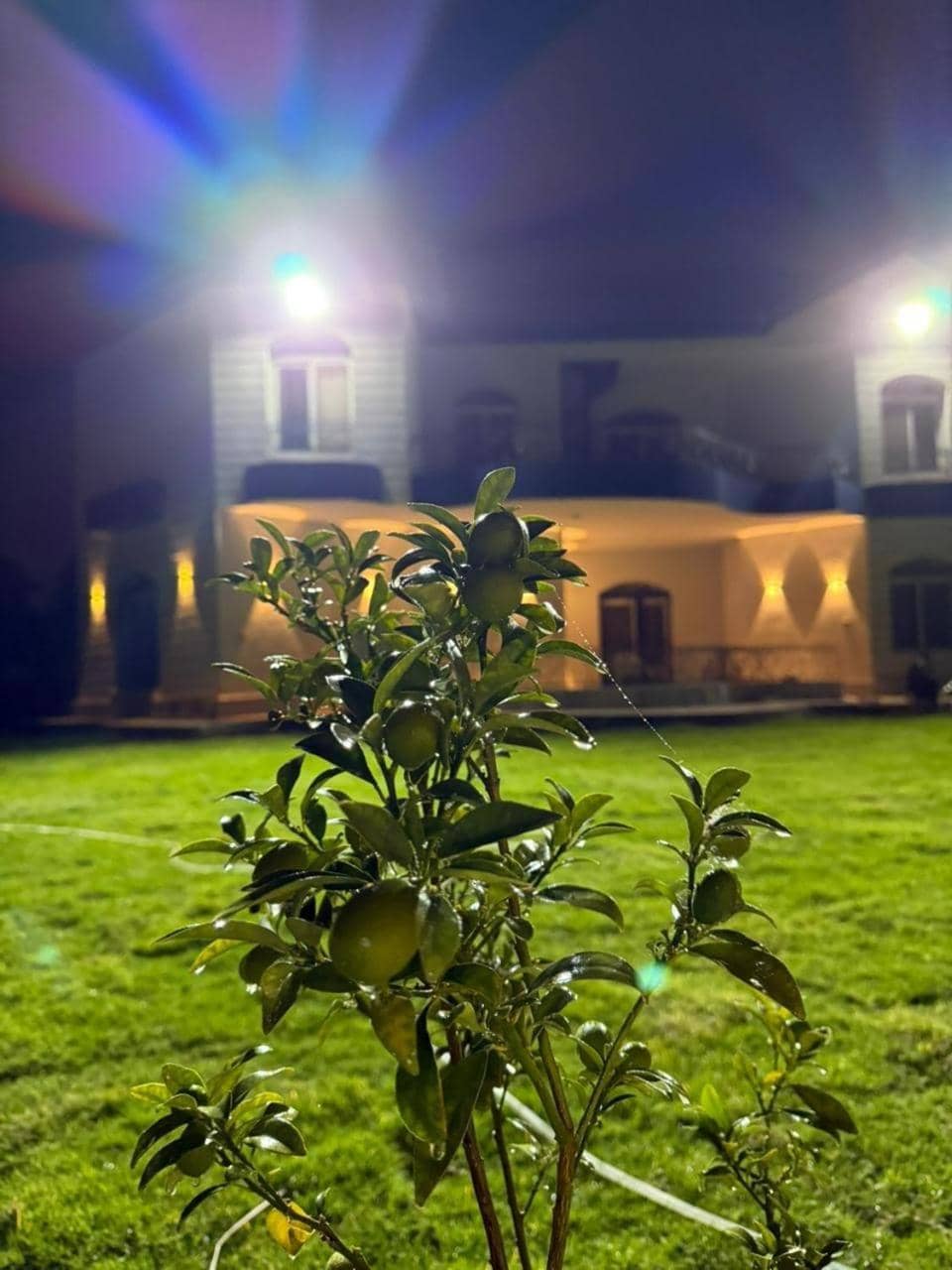 Almajidy Villa — 4