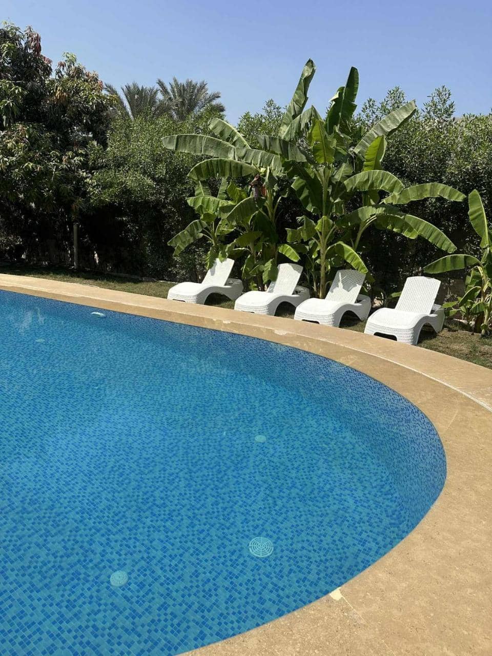 Selora Villa — 4