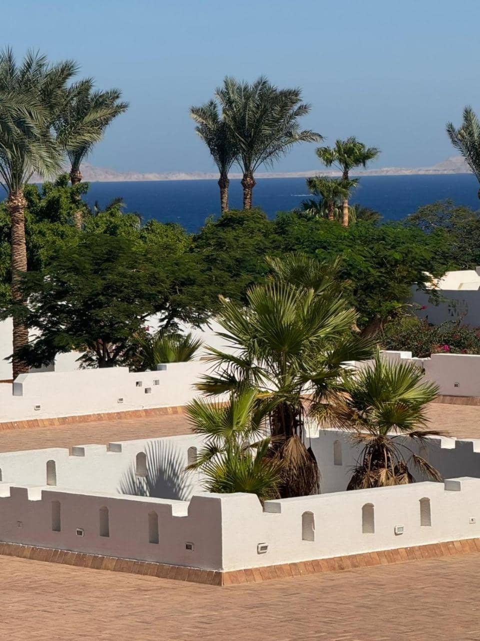 Domina Coral Bay Harem Pool