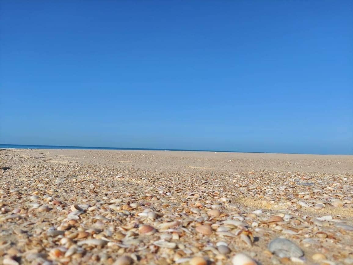 Sama El`Arish Resort (Adults Only) — 4