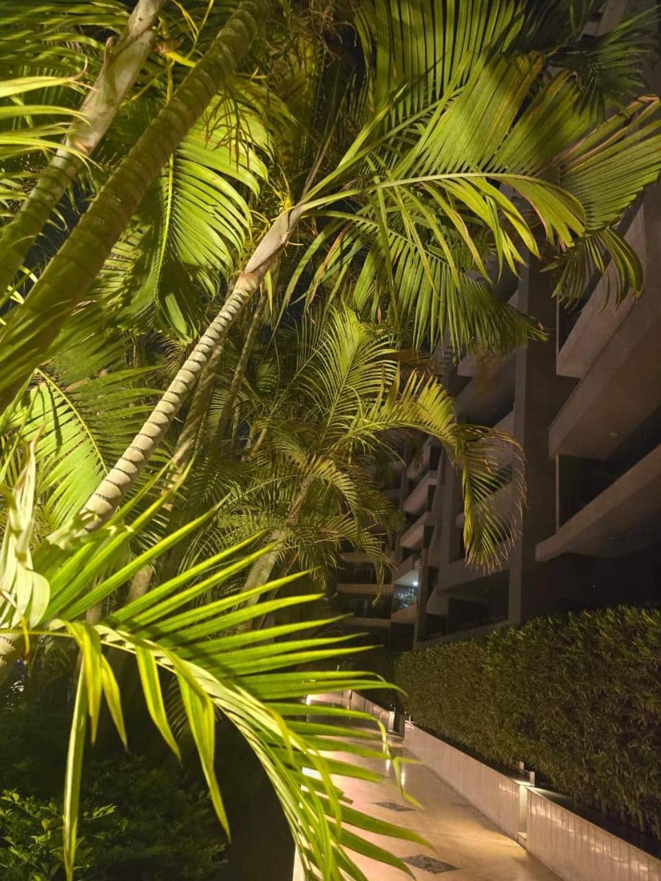 Flamingo Hotel Apartments in Ocean Blue Resort — 3