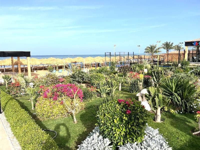Rewaya Luxury Resort — 2