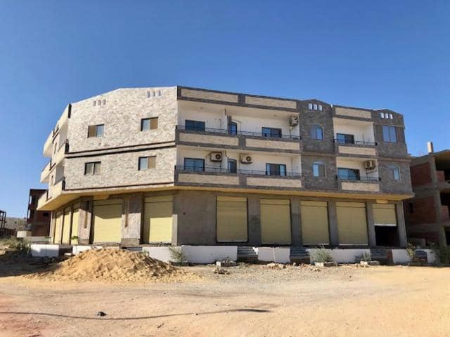 King Marsa (Adults Only)