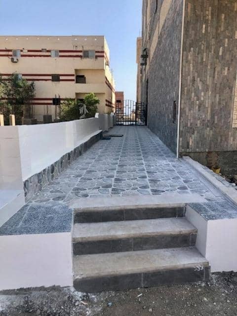 King Marsa (Adults Only) — 5