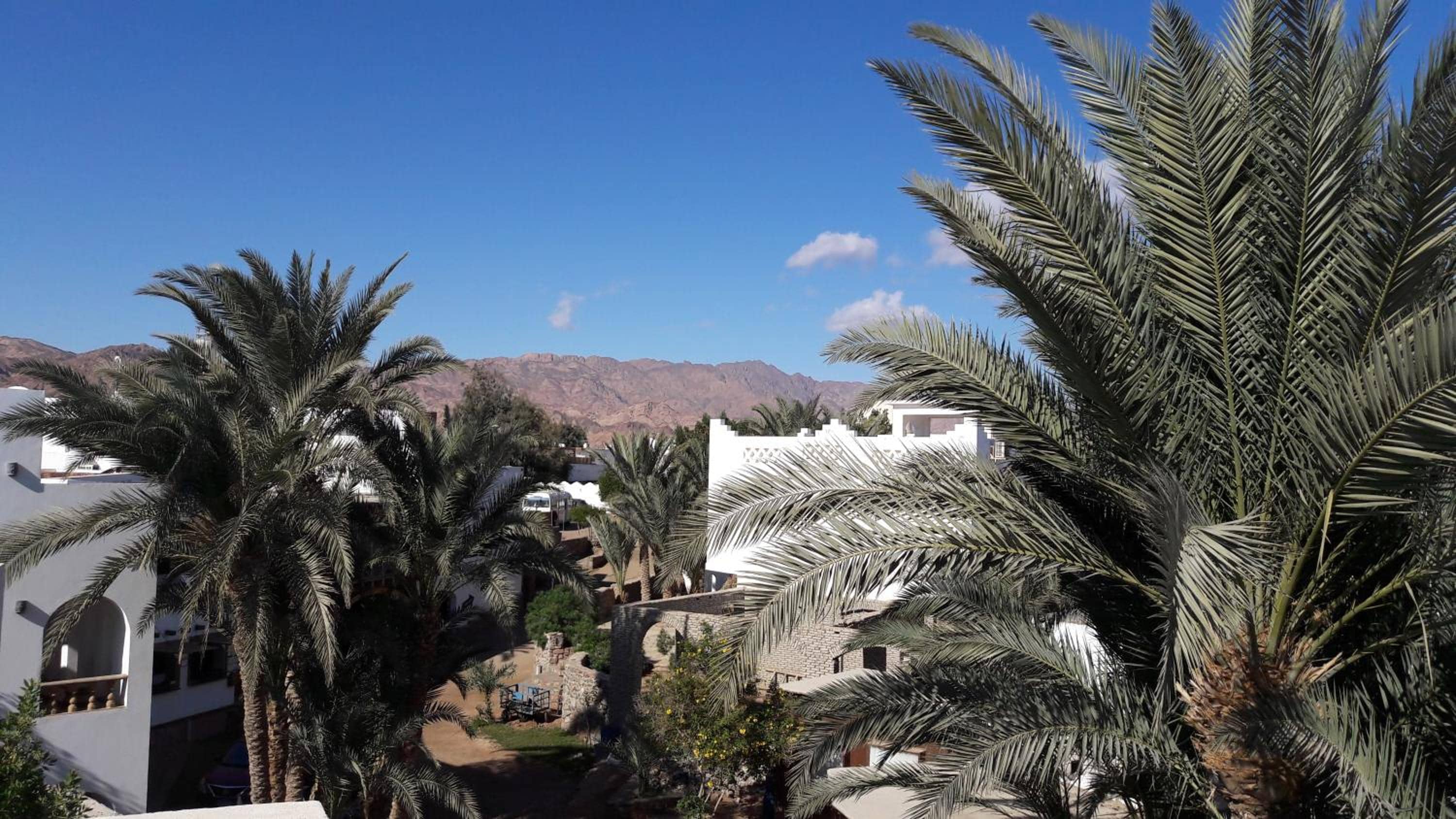 New Yalla Hotel — 2