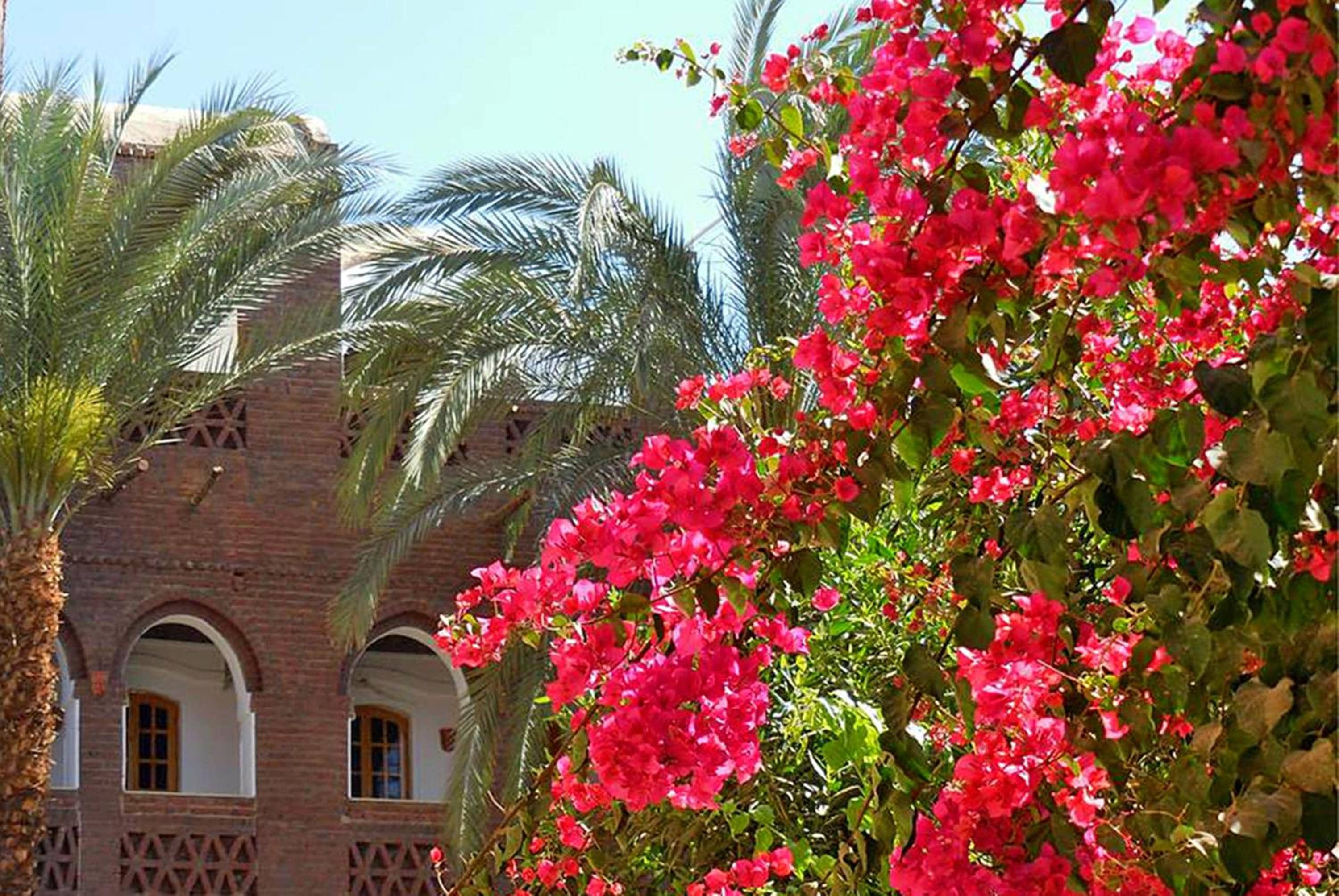 Hotel Sheherazade Luxor — 2