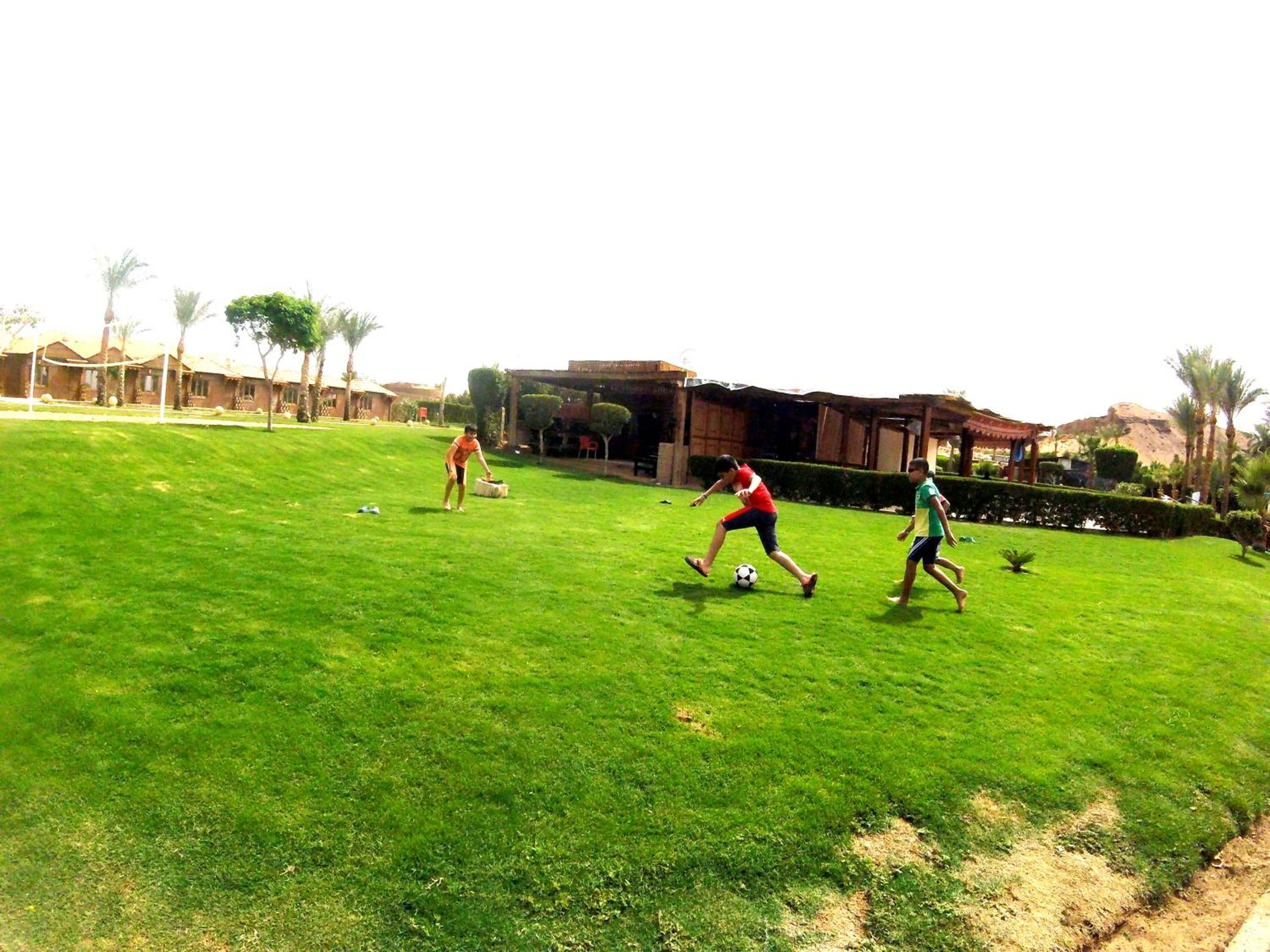 Xperience Golden Sandy Beach- Adults Only — 4