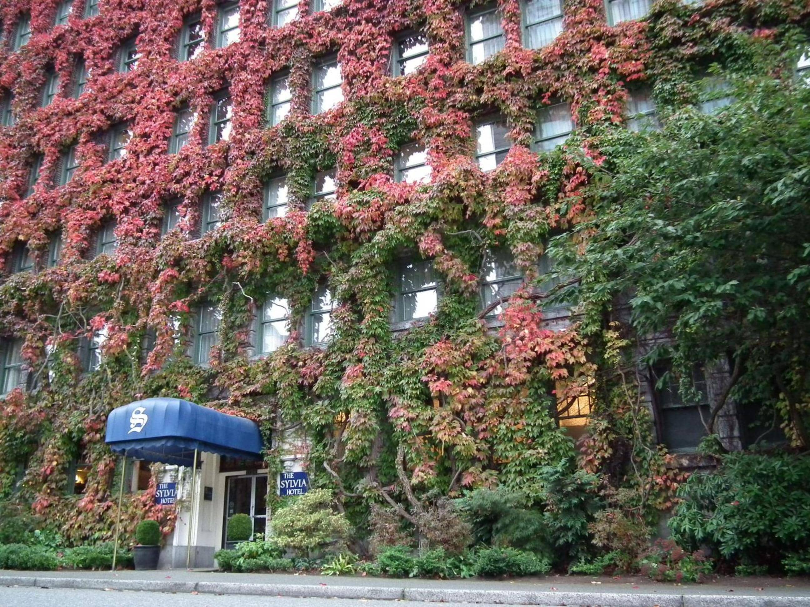 The Sylvia Hotel — 2