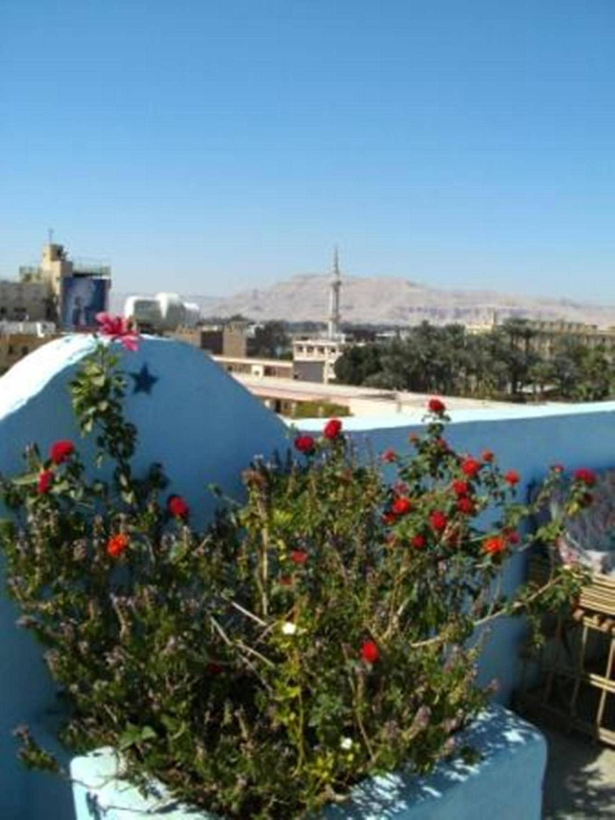 Bob Marley House Sherief Hotel Luxor — 4
